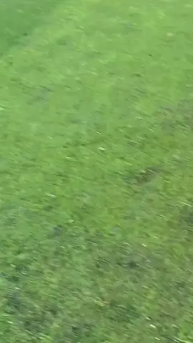 #من ـ شرقها  ـ لغربها ـ انا ـ وحش ـ على ـ ارضها⚔️🧿#الشعب_الصيني_ماله_حل😂😂 #مكن # الغزاله _الحمراء_دايو4 #ابوحوا #نيكل #tlktok 