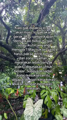 Banyak mau tapi sedikit action, siapa lagi kalau bukan aku🫵🏼🙂‍↔️ #fyp #remindertomyself #wisewords #friendlyreminder #menjadisukses #beingsuccessful #successmindset 
