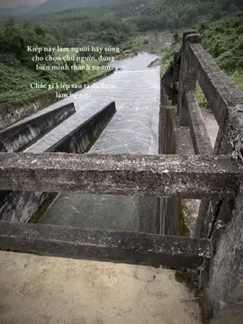 “Kiếp này làm người hãy sống cho chọn chữ người, đừng biến mình thành ngợm” “Chắc gì kiếp sau ta đã được làm người.!#storydoi #daolylamnguoi #dapvietan 