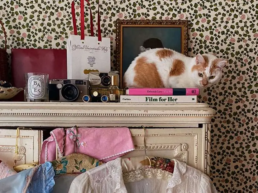 i’m so happy january has been so sunny lately 🥹🌞 #aesthetic #cottagecore #homedecor #bedroom #cozyathome #cozyhome #frenchstyle #vintage #antique #bedroominspo #girlythings #slaapkamer #interieur #maximalism  @pigletinbed @DÔEN @favoritechildcollective 