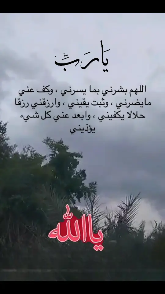 #يارب❤️ #يارب❤️ # #🤲🤲 # #تيك_توك #تيك_توك # #اكسبلورر #اكسبلورر #