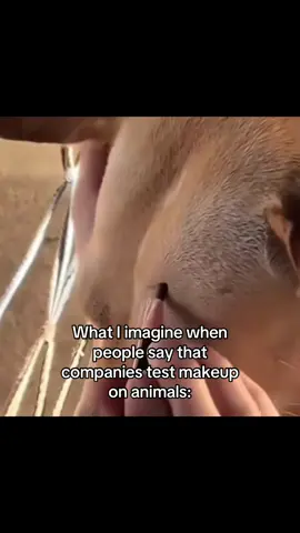 👁️👄👁️ #jiafei #tyla #tylawater #floptok #potaxie 