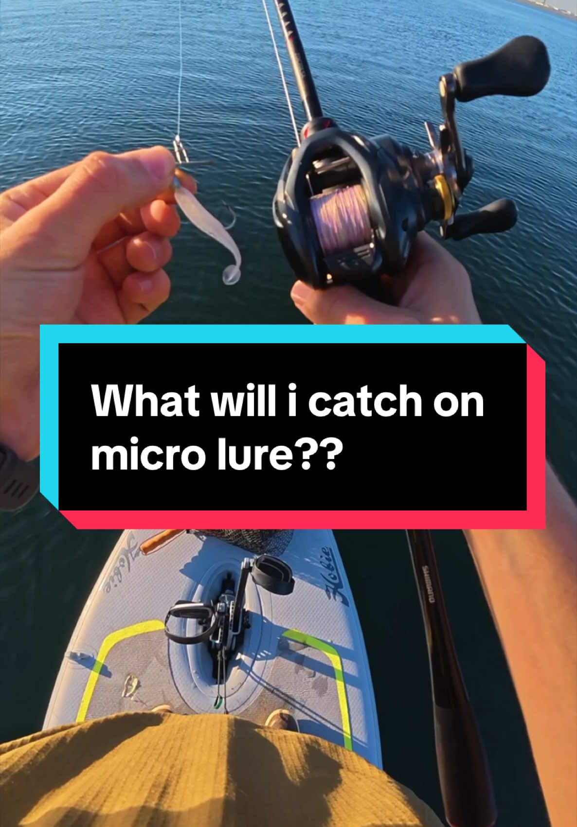 Micro Fishing 101! #fishing #fyp #angler #fishtok #fypシ #microfishing #fishingvideo #fishingtime #fishingtiktoks #fish #fishingtips #fypviral #bassfishing #saltwaterfishing #socalfishing 