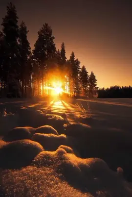 Нежеголь - солнцестояние #нежеголь #песня #m8l8th #молотх #m8l8tx #солнцестояние #алексейлевкин #левкин #славяне #язычество 