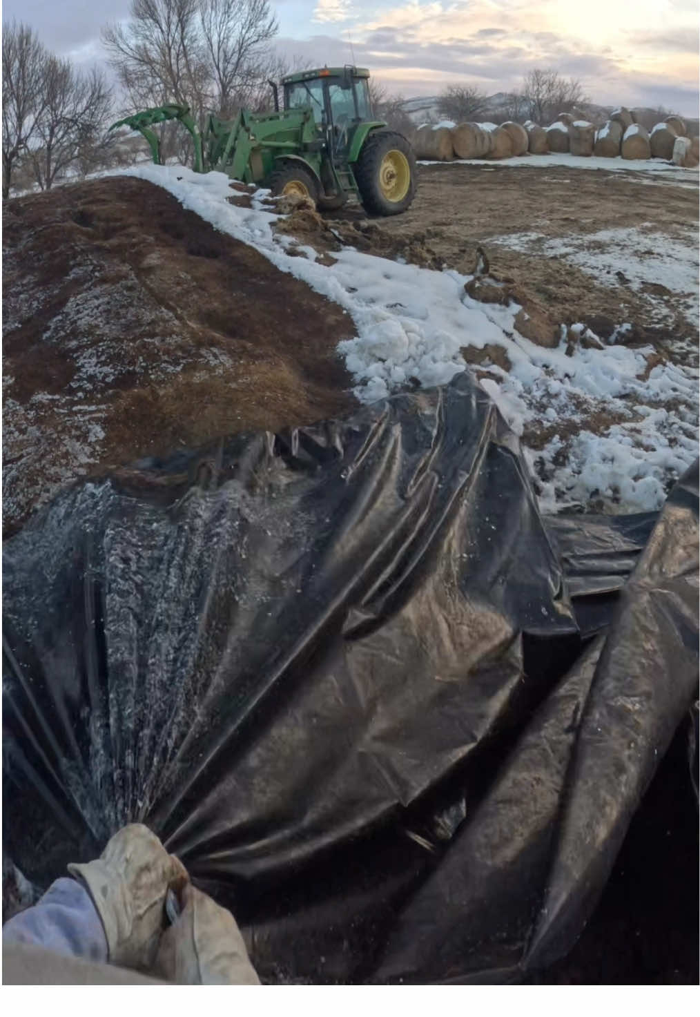 Replying to @Justus_127 You don’t know slick until you’re scrambling around on a silage tarp with leather soled boots 😂#western #southdakota #country #punchy #cowpoke #cowboy #longlivethewest #ranchlife  #horses #horse #ranch #ranching