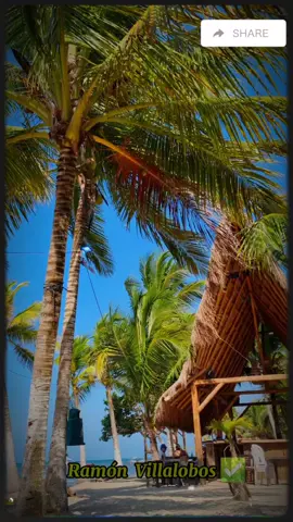 🎶🌊voy camino hacía  El mar ❤️ #estados #vallenatos #diomedes #vallenatoviejo #graciasdios #musica #playa 