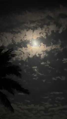 ياريح مري بيتها وذكريني 🥺💔).#تصويري📸 #بدويههّ #الكسبلور #ذوقيي💛ء #تفاعلو #عشوائيات #حايل_بعد_حيي🌷👋🏻 