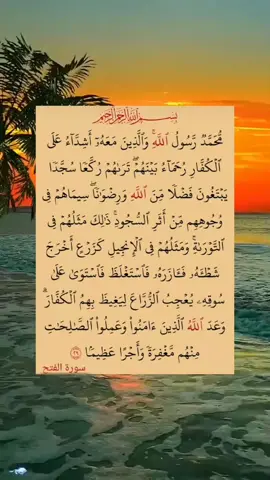 #quran_alkarim📿🕊🌿🌹 #لا_اله_الا_الله_محمد_رسول_الله🎧🌿🤍 #fypシ゚viral?tiktok☆♡?myvideo #اخ_رحمة_الله_عليگ_يا_يونس_الخرش😢 #اللهم_صلي_على_نبينا_محمد #🕋📿🕌regay_islam🌼🦋🤲 