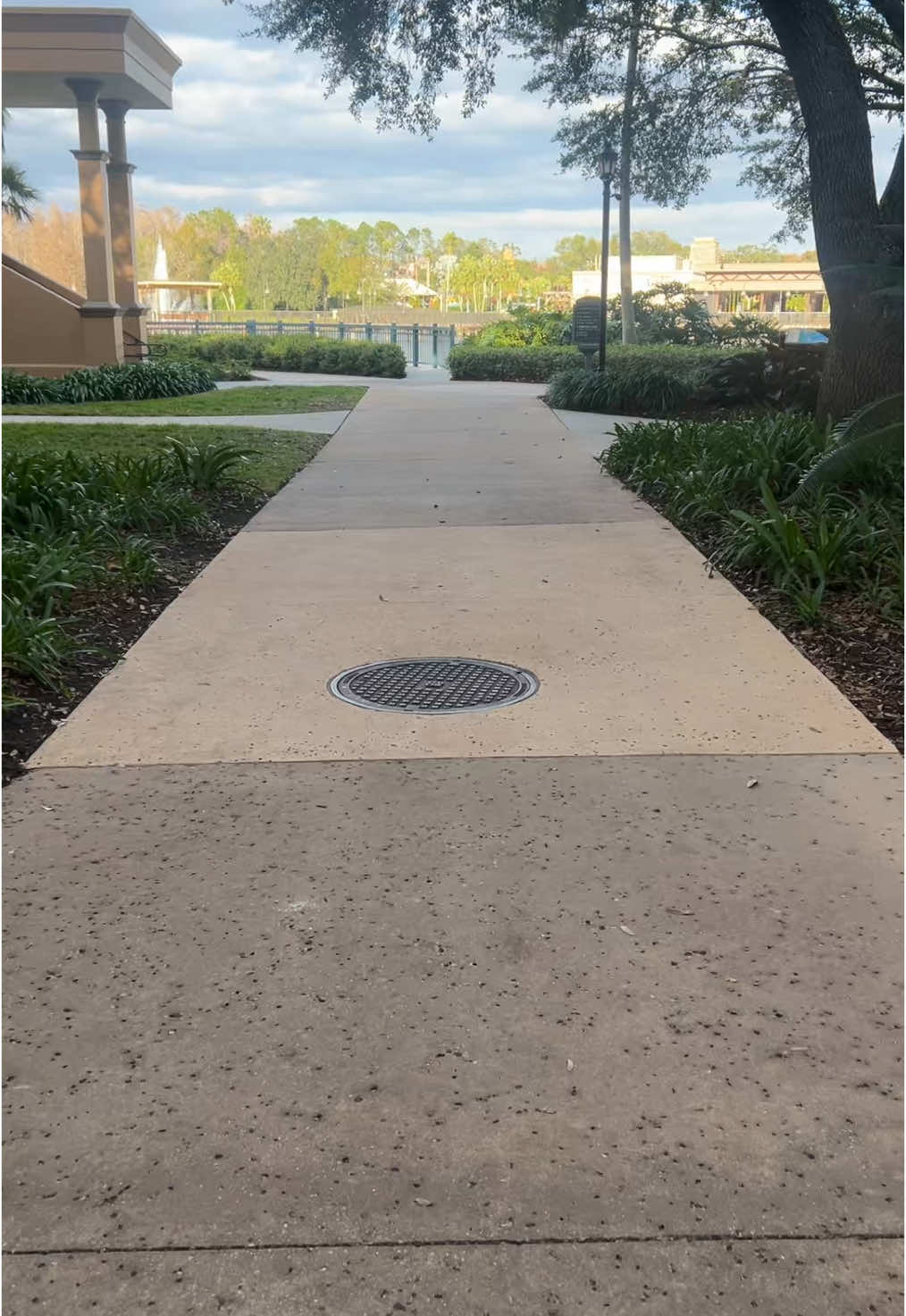 This resort is literally gorgeous 🐊 #disneyworld #disneysprings #orlando #hollywoodstudios 