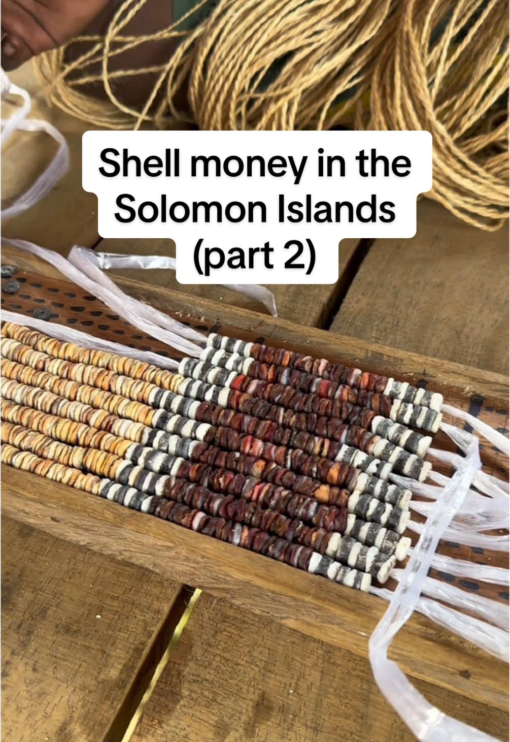 I love travel because it shows you incredible things Now, let’s get into all of the questions about shell money: Can anyone print shell money? How much is it worth? Yes, shell money is a real currency, but let’s dive deeper!  VALUES  White shells are the easiest to find so they are worth the least - 30 shells = $1 The brown shells become Orange with heat:  - 30= $2 Black:  - 30 = $2 The rarest is Red: - 30= $5 1 unit = 10 strands  1 strand = 7, 8, or 10 feet  Unit prices:  1 (7ft) unit = $1000 Solomon  1 (8ft) unit = $1500 Solomon  DOWRY: Given to girls family, and can ask for as many units as they want, even 50 units!  LAND  All the land conflicts are because of western ideals. Everyone normally owns the land. But changing ideals makes one person owns it. Any type of conflict can be solved with giving shell money! It’s a beautiful tradition that is becoming more popular in other parts of the country, so that gives the people of Langalanga the opportunity to make other types of money to use , by producing shell money!  #solomonislandstiktok🇸🇧 #pacificislands #2025travel #malaita 