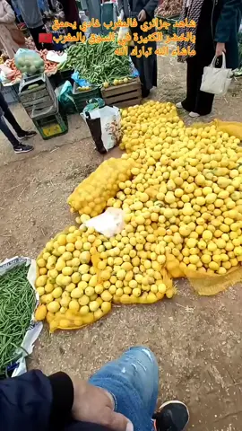 #شاهد #جزائري #مصدوم #في  #المغرب #سوق #شعبي  #خيرات #تبارك_الله #ماشاءالله_تبارك_الله  #الحمدلله_دائماً_وابداً  #سبحان_الله_وبحمده_سبحان_الله_العظيم 