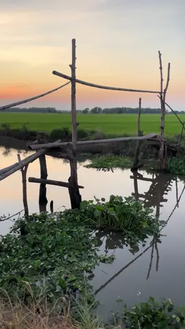 Khi cố tình ngắm hoàng hôn nhưng cũng không có thời gian#tamtrang #binhyen 