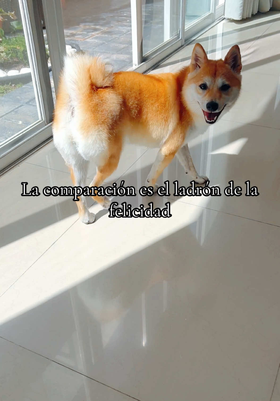 Las mujeres valientes no se comparan #fyp #fypp 