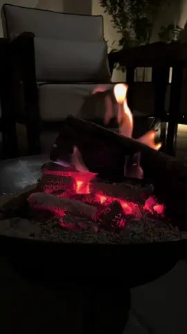 أهديت لك يازين قلبي هدية 🪵✨#ماجد_المهندس #اكسبلور 