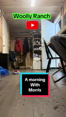 He’s so curious, but he’s so gentle 🥹❤️ #woollyranch #farm #bottlecalf #cow #cows 