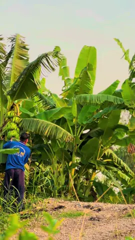 qua Tết chiến thôi#dc108xรุ่นใหม่ตู้แอร์ #xunghuongtiktok @cậu út 67ag 