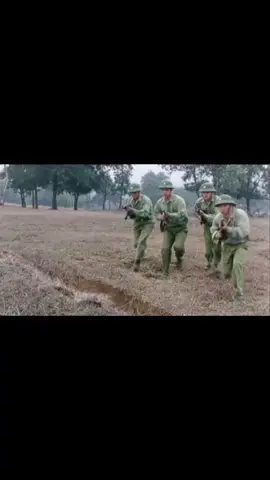 Mùi cỏ cháy (3)#mùicỏcháy #bodoicuho #chientranh #lichsuvietnam #lichsuvietnam 
