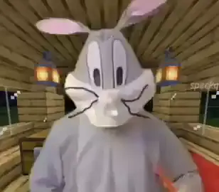 #meme #laugh #humor #fyp #f #foryou #fypシ #fancy_silly_catsmeme #BugsBunny #Minecraft 