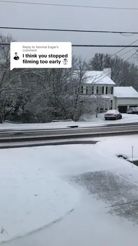 Replying to @Xennial Eagle #southernersinthesnow #snowstorm #snowday