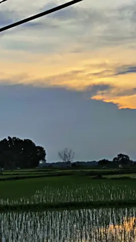 #fizr #fizrindonesia #fypage 