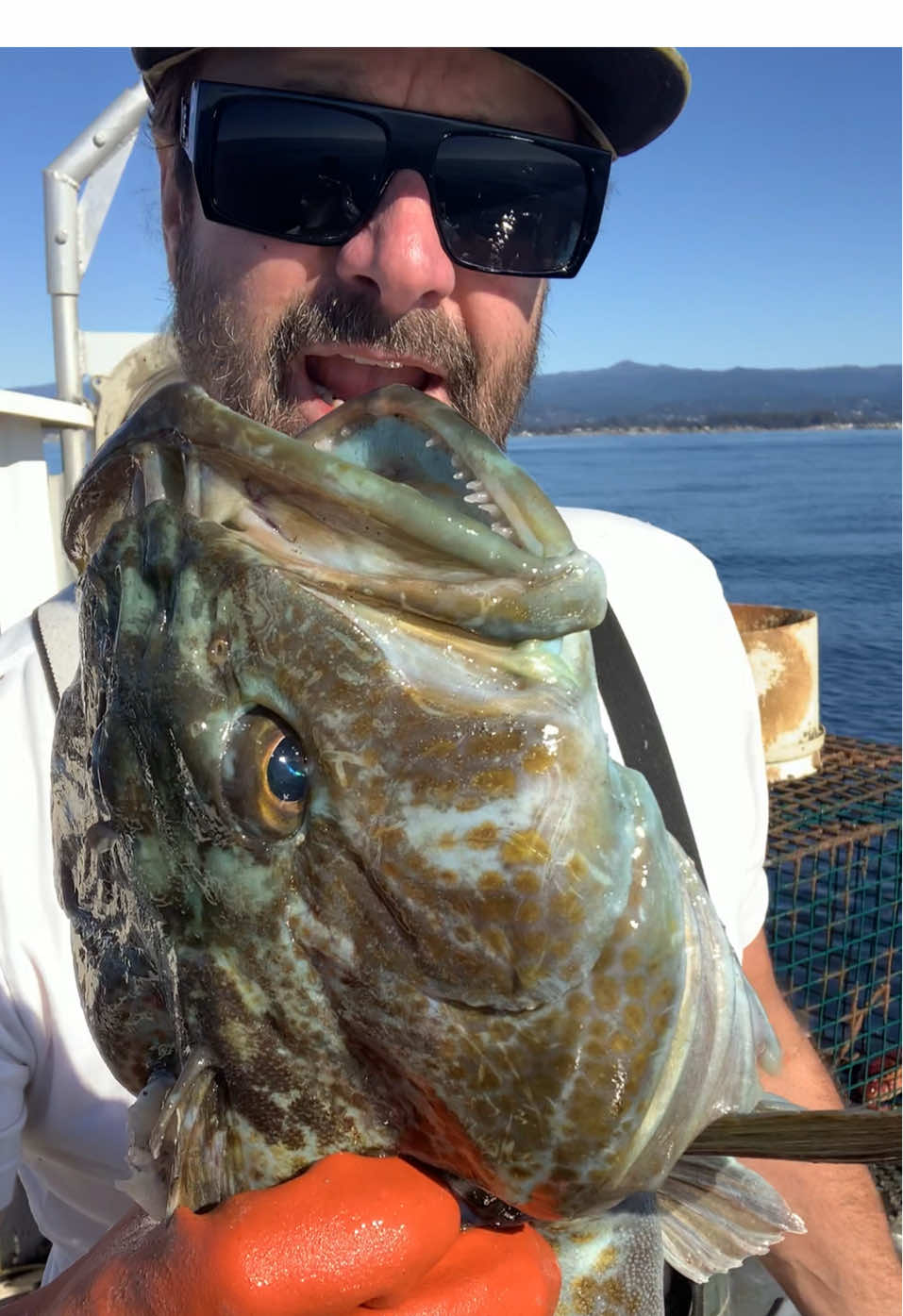Catching Big Fish Commercial Fishing #commercialfishing #friendliestcatch #fishing 
