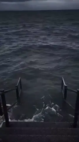 real or fake? #various #videos 