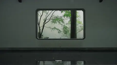 chiều nay mưa trên phố Huế #fyp #tuanhh #muatrenphohue #xuhuong 