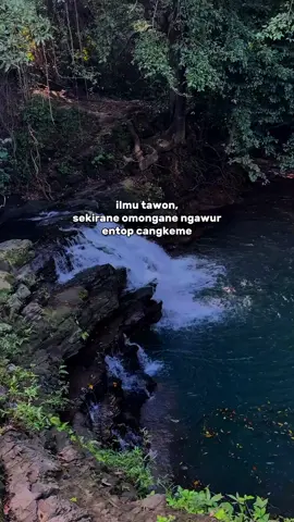 ben bongko 😌 #katajawalucu #jowopride #katakatajowo #katabijak #storywa #sw #fyp #katabijakjawa #quotejowo #storyjowo #quotejawa #storywajowo #jawalucu #firacantika 