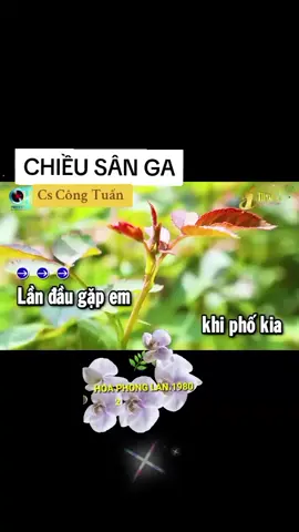 P.611♤ CHIỀU SÂN GA.Trình bày: Ca sĩ Công Tuấn #lenxuhuong_tiktok #xuhuongkaraoke2024 #XUHUONGTIKTOK #nhachaydaycamxuc #xuhuongnheptiktok #bolerohaynhathomnay #bolerohaynhathomnay #batnhipcamxuc #hoaphonglan1980 