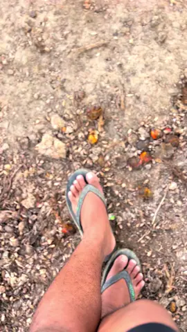 Mudahan lancar terus barang nya😁#fyp #