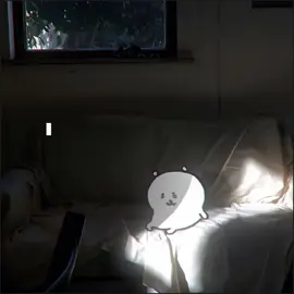 不要離我而去...  #自嘲熊 #fyp #fypシ 