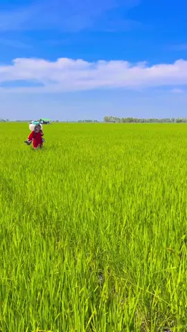 พรมปุ๋ย✌️🌾#tiktok #นครสวรรค์ #ฟีดดดシ #วัยรุ่นทํานา🌾 