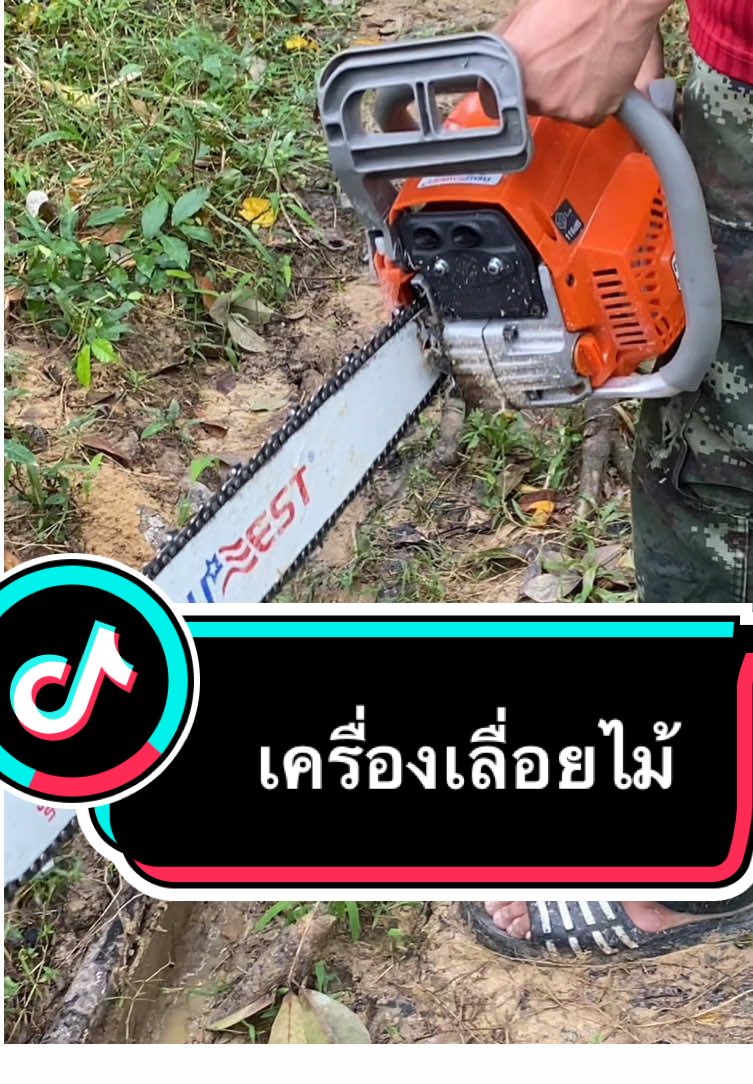 เครื่องเลื่อยราคาดี🤪#เครื่องเลื่อยไม้ #เครื่องเลื่อย #รีวิวเครื่องเลื่อยไม้ #newwest #เครื่องมือช่างและอุปกรณ์งานช่าง #เครื่องมือช่าง 