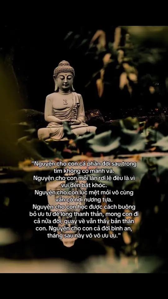 #tiktok #chitt #xh #xuhuong #xuhuongtiktok #chitt_20_08 #phatphapnhiemmau #phatgiao #phattaitam #capcut #foryou #story 