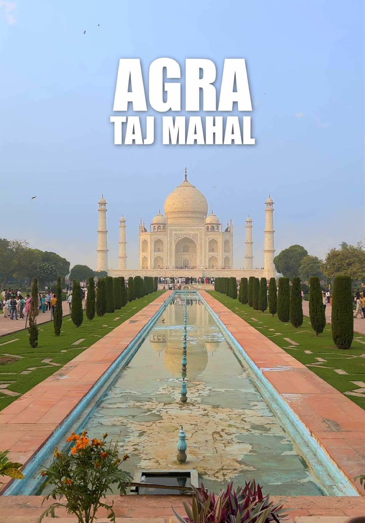 INIDA VLOG with @Contiki | Travel Together 🇮🇳 | Use Code: NATHTIKIREP 5% OFF #india #nathanlust 