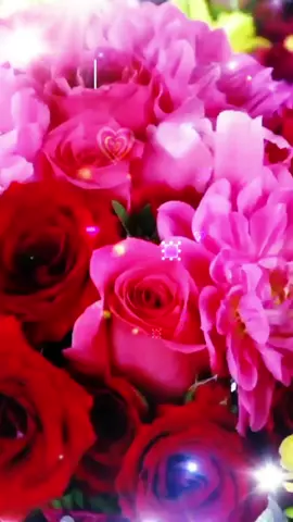 #квіти#длявас#матусі#🌹🌹🌹#мама#длятебе#❤️❤️❤️ 