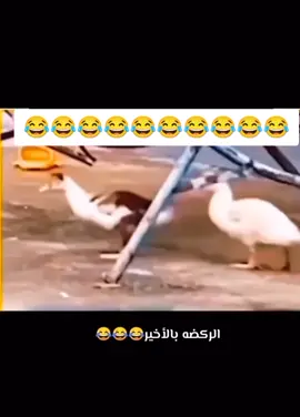 #funnyvideos #viral #meme #fyp #foryoupage 