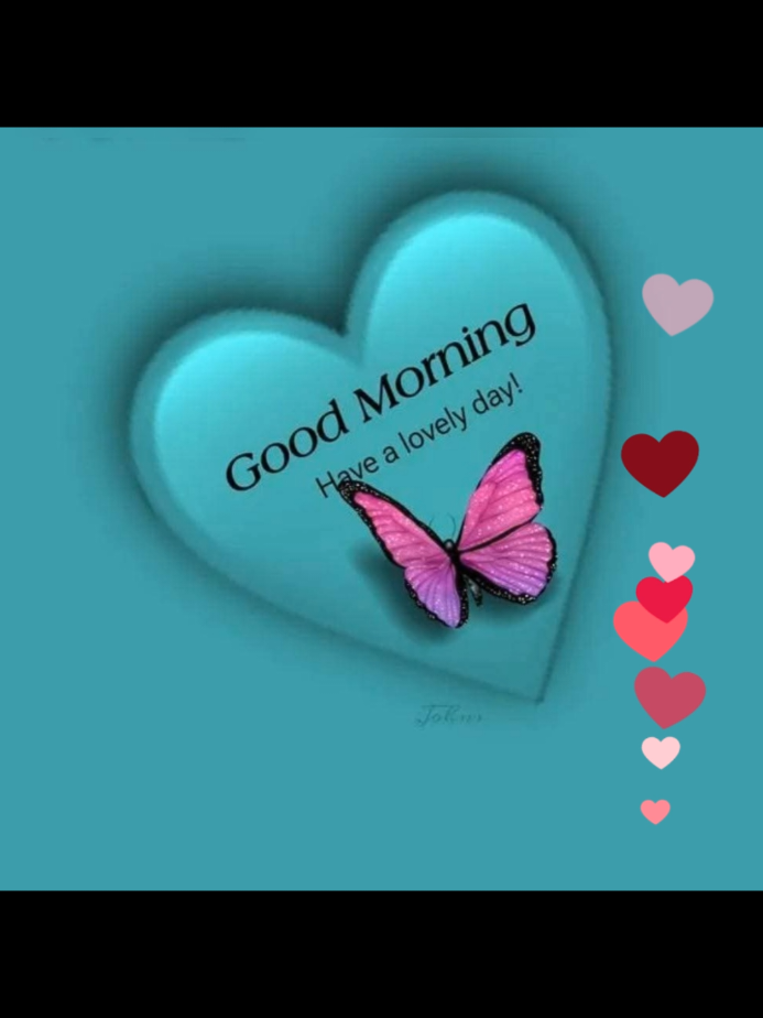 Good Morning ❤️  Beautiful Good Morning wishes  #rosevibesss 