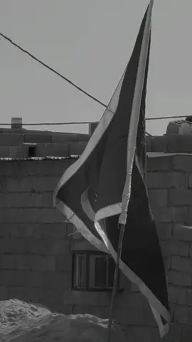 #بيرغ_بني_اسد_الونيس #ابو_جواد_الاسدي 