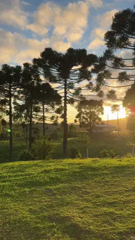 Sinta o vento, ouça o canto dos pássaros e deixe o amanhecer tocar a sua alma 🌿🦜 #nascerdosol #amanhecer #somdanatureza #sitio #paz 