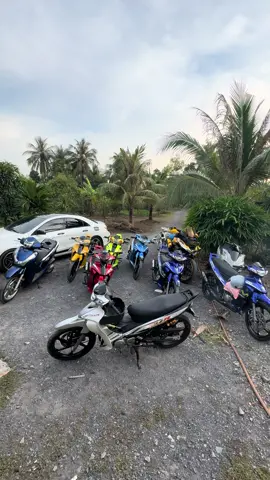 Về quê trồng rau nuôi CÁ