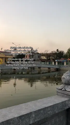 mình lại nhớ ông ngoại mình rồi ☺️