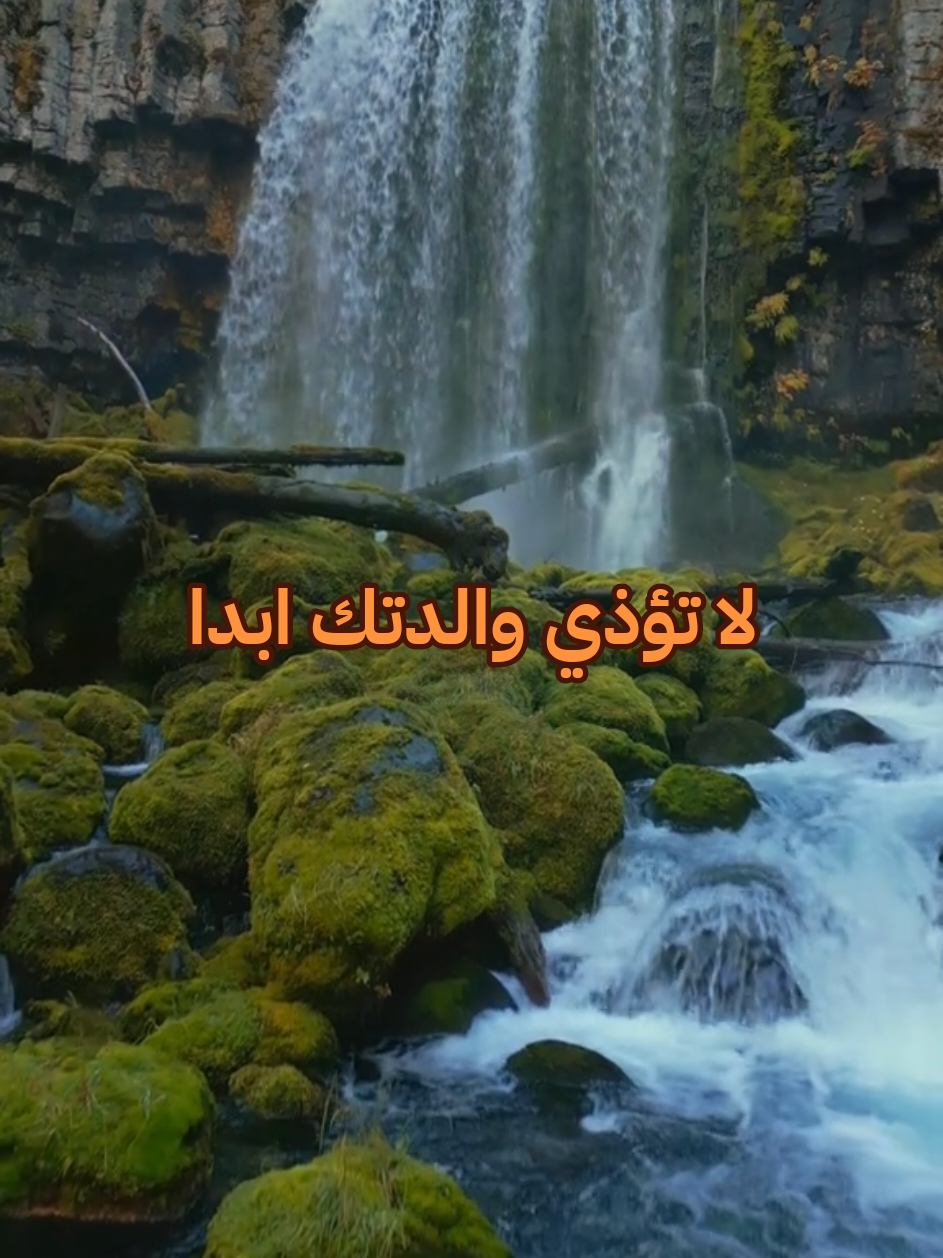 لا تؤذي والدتك ابدا #كلام_من_ذهب #تطوير_الذات #تحفيزات #نجاح #اقتباسات_عبارات_خواطر #اطمئن #اللهم_صلي_على_نبينا_محمد #psychology #viral_video #fyp #explore 