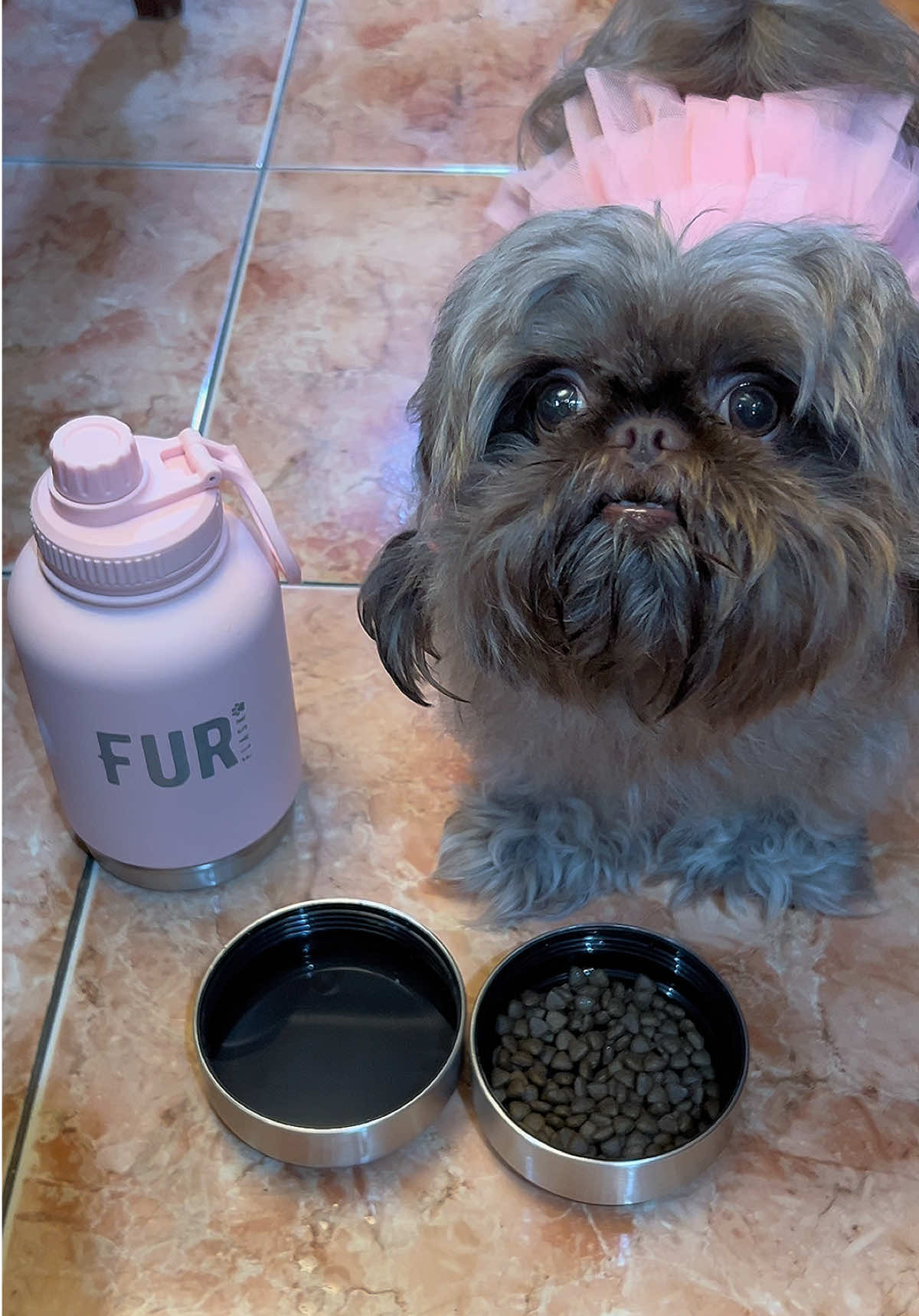 Pet Insulated Tumbler! #furflask #dogtumbler #insulatedtumbler #petsupplies #fyp 