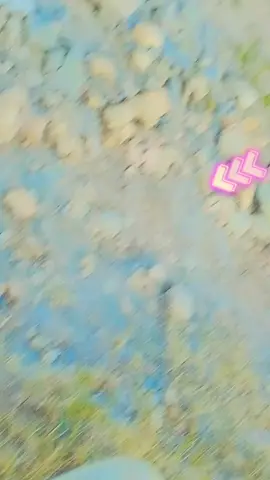 #Moky#deta#ghala#ya#100kviews 