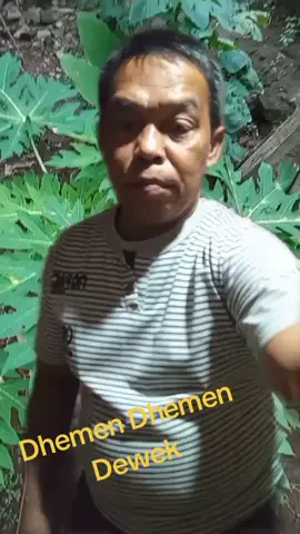 cinta bertepuk sebelah tangan...  #dhemendhemendewek #caturarum #lagubanyuwangi 