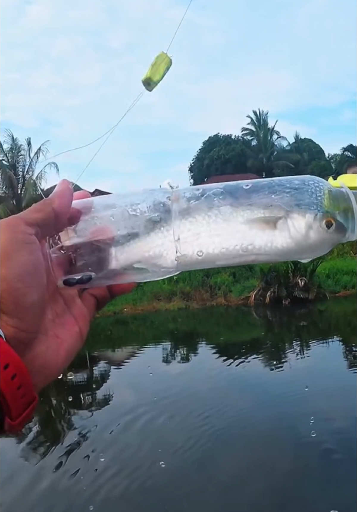 Pescaria de tainha com garrafa pet