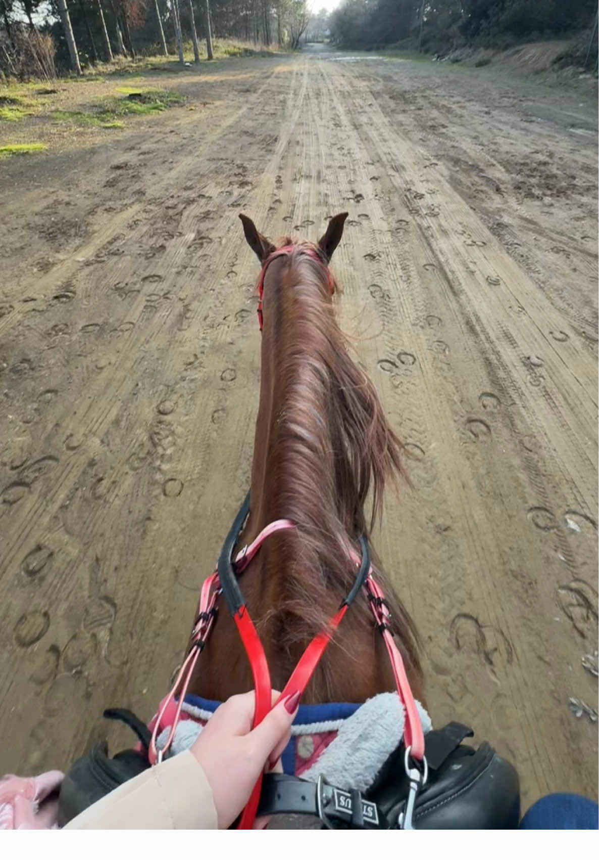 #fyp #libya #turkey #women #horses 