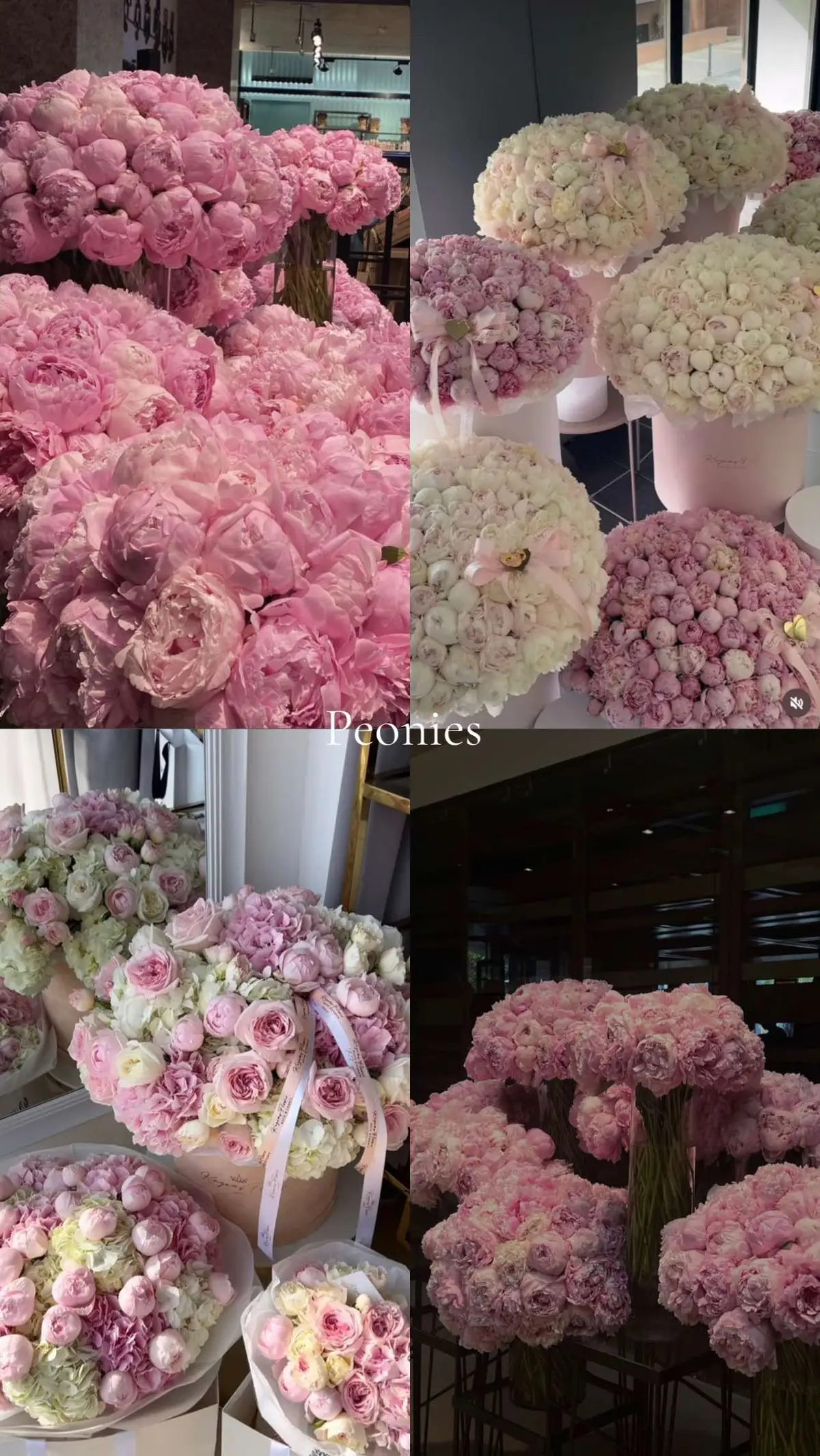 #flowers #flowerslove #bouquet #buquedeflores #peonies #hydrageas #roses #tulips #lilies #cloves #gypsophila #daisys #ranunculus #fypシ゚ 
