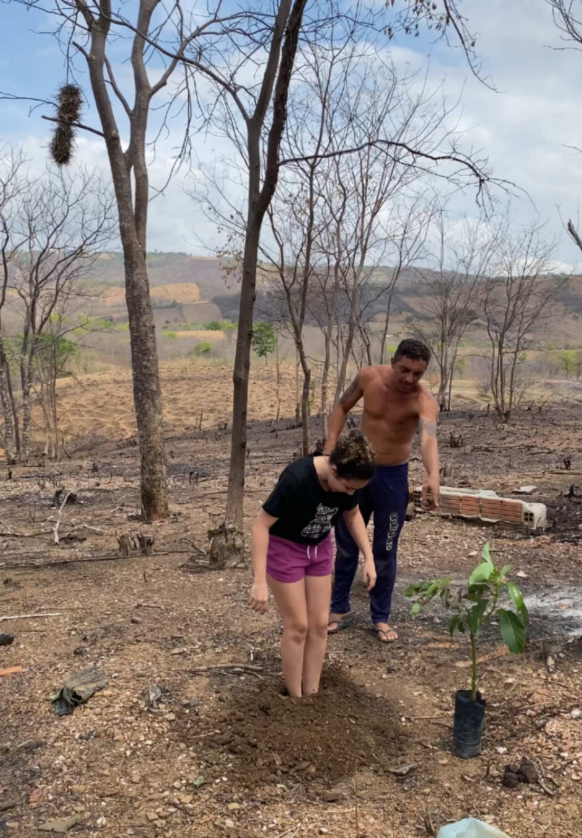 Ele não explica as coisas direito kkk #planta #humorbr 